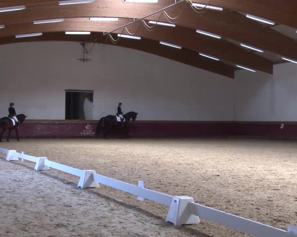 Reitturnier Eicherloh RH Laurent/Obb. 2023