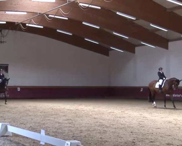 Reitturnier Eicherloh RH Laurent/Obb. 2023