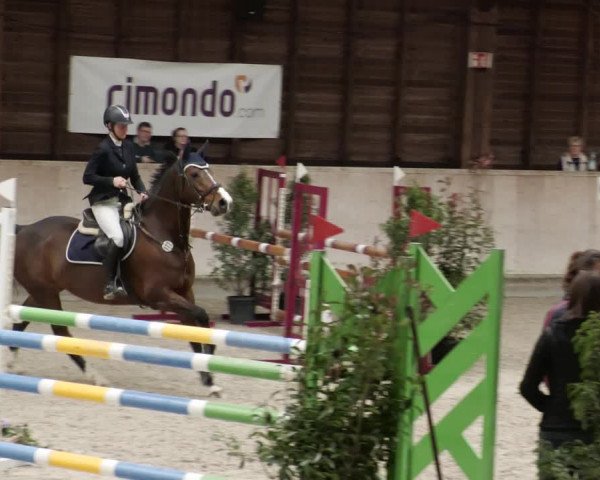 Reitturnier Mannheim-Neckarau 2023