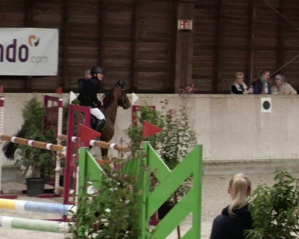 Reitturnier Mannheim-Neckarau 2023