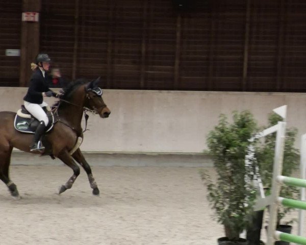 Reitturnier Mannheim-Neckarau 2023