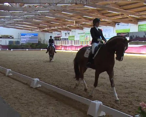 Reitturnier Eicherloh RH Laurent/Obb. 2023