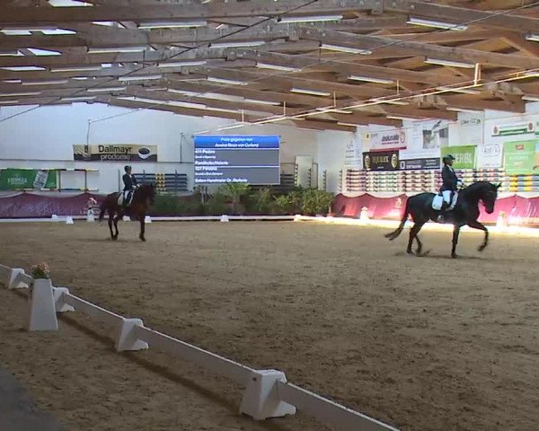 Reitturnier Eicherloh RH Laurent/Obb. 2023