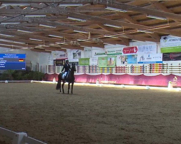 Reitturnier Eicherloh RH Laurent/Obb. 2023