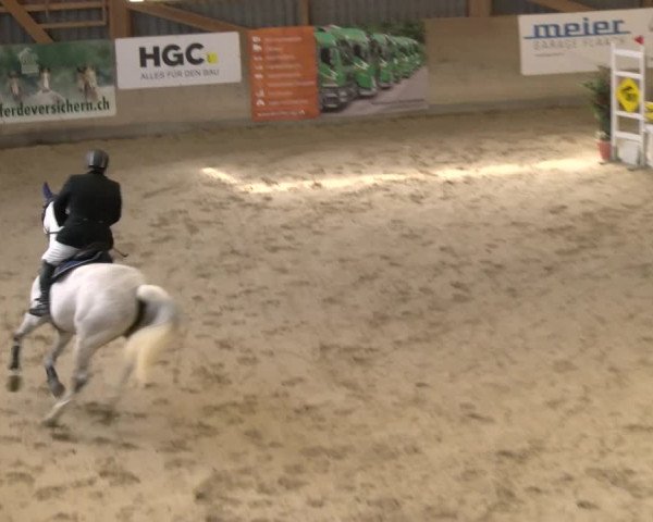 Reitturnier Schaffhausen 2023