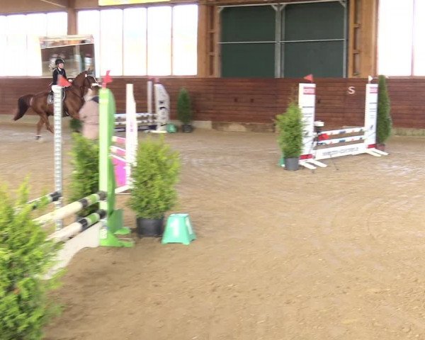 Reitturnier Coesfeld/Lette 2021