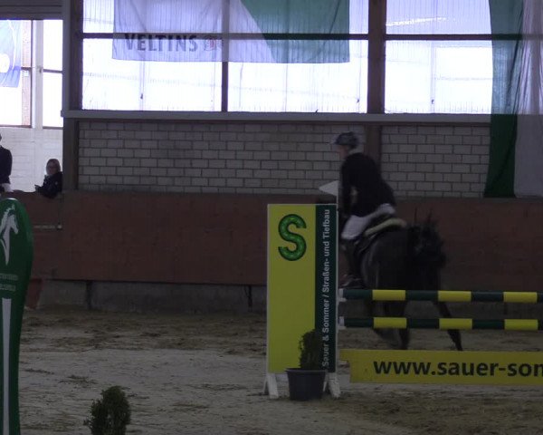 Reitturnier Hellefeld 2023