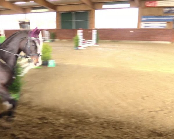 Reitturnier Coesfeld/Lette 2021