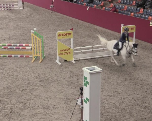 Reitturnier Krumke 2023