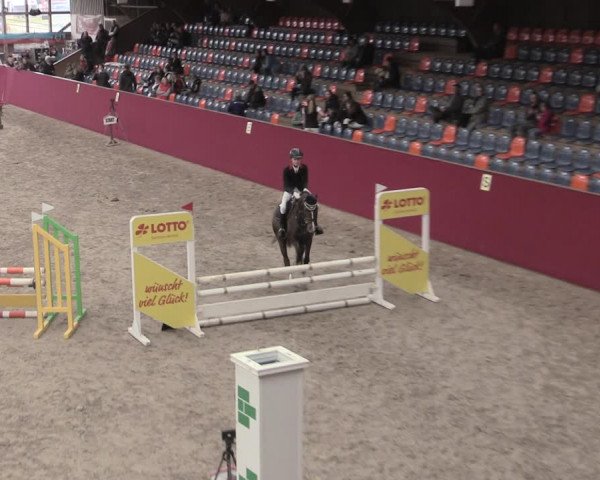 Reitturnier Krumke 2023