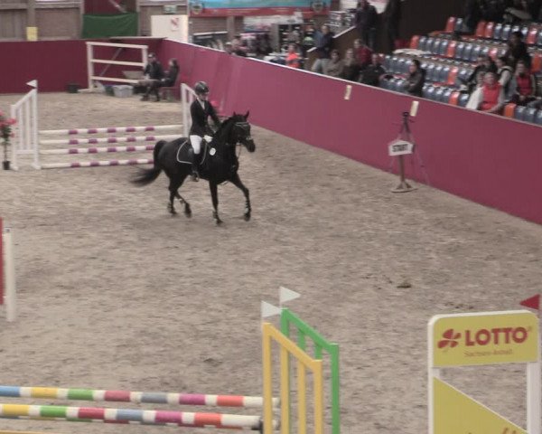 Reitturnier Krumke 2023