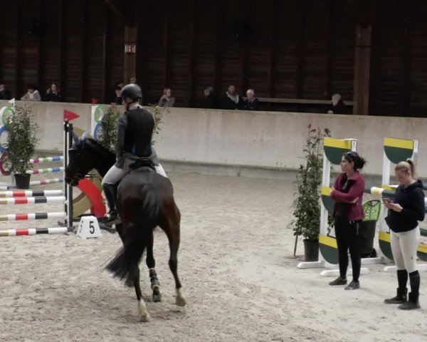 Reitturnier Mannheim-Neckarau 2023
