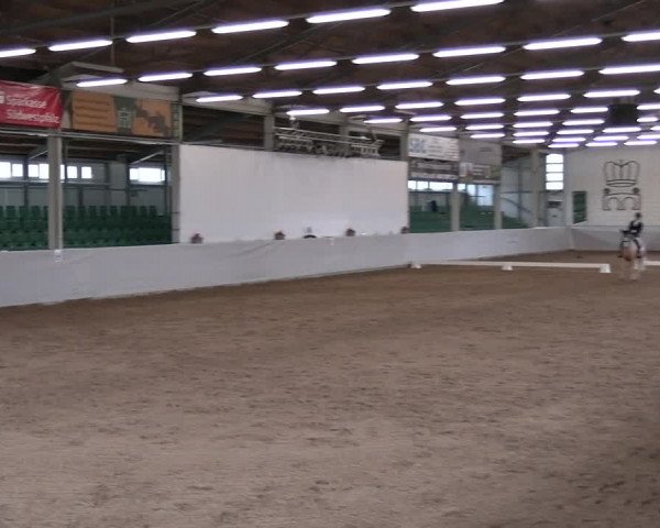 Reitturnier Zweibrücken-Landgestüt / Halle 2023