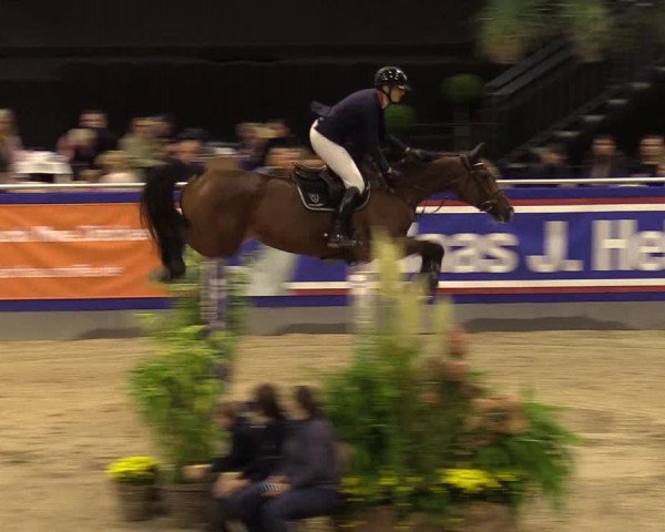 FEI Reitturnier Neumünster (GER) 2021