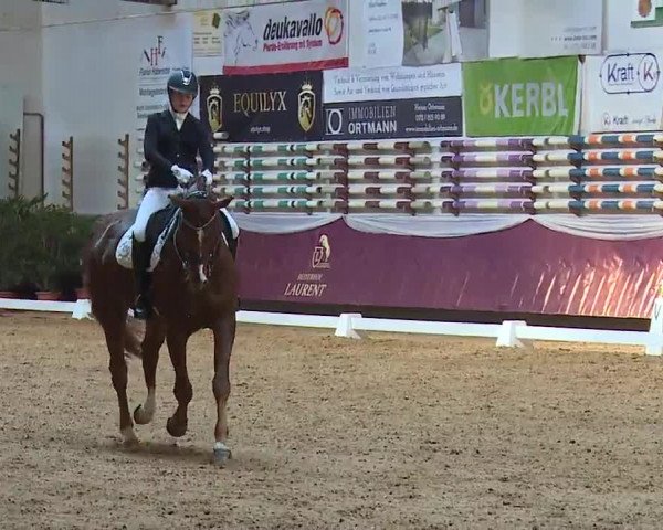 Reitturnier Eicherloh RH Laurent/Obb. 2023
