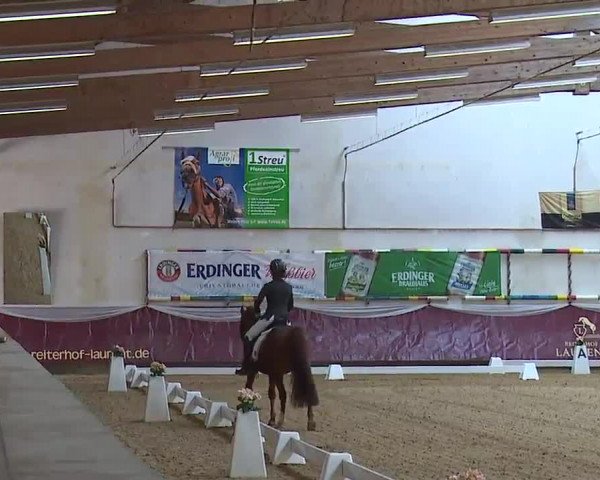 Reitturnier Eicherloh RH Laurent/Obb. 2023