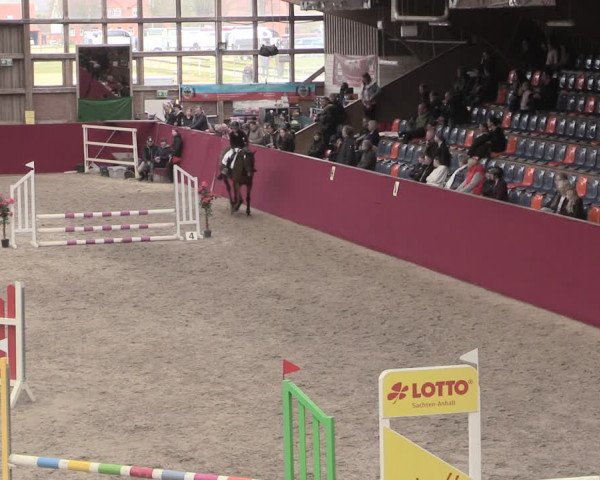 Reitturnier Krumke 2023