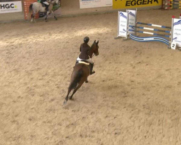 Reitturnier Schaffhausen 2023