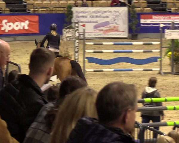 FEI Reitturnier Neumünster (GER) 2021