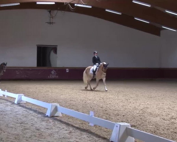 Reitturnier Eicherloh RH Laurent/Obb. 2023