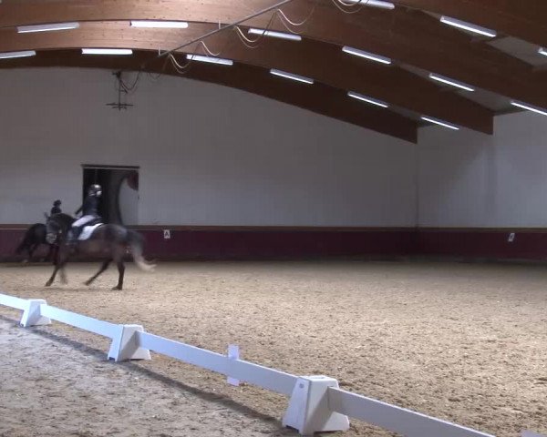 Reitturnier Eicherloh RH Laurent/Obb. 2023