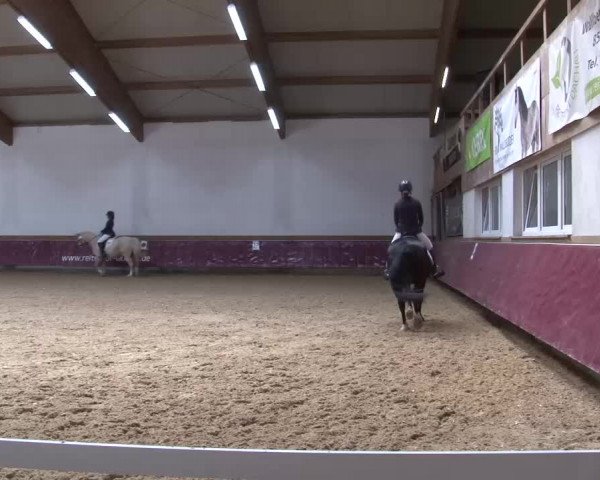 Reitturnier Eicherloh RH Laurent/Obb. 2023