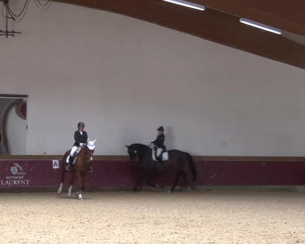 Reitturnier Eicherloh RH Laurent/Obb. 2023