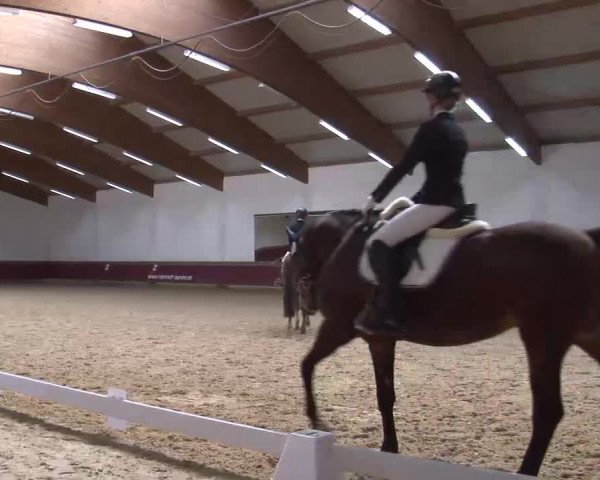Reitturnier Eicherloh RH Laurent/Obb. 2023