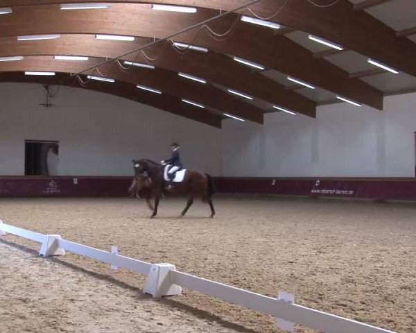 Reitturnier Eicherloh RH Laurent/Obb. 2023