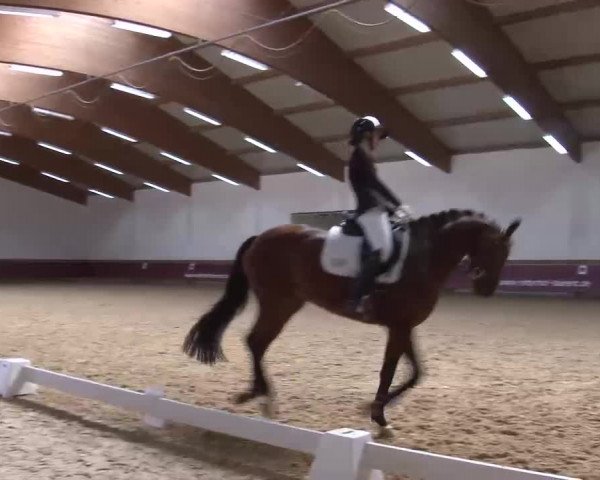 Reitturnier Eicherloh RH Laurent/Obb. 2023
