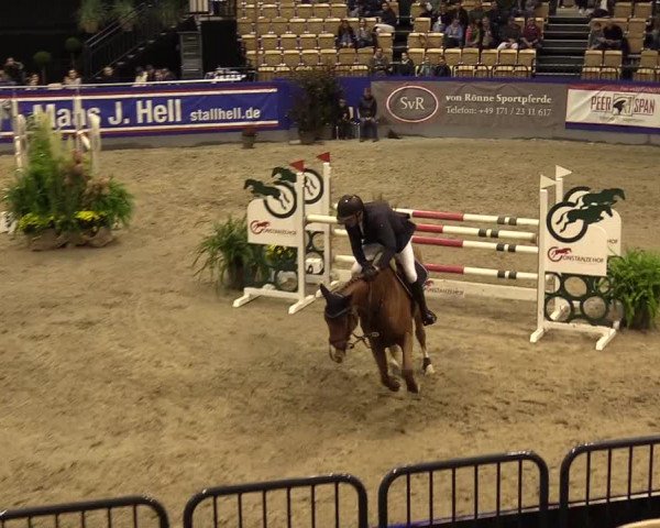 FEI Reitturnier Neumünster (GER) 2021