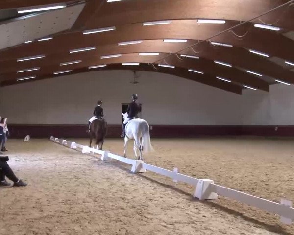 Reitturnier Eicherloh RH Laurent/Obb. 2023