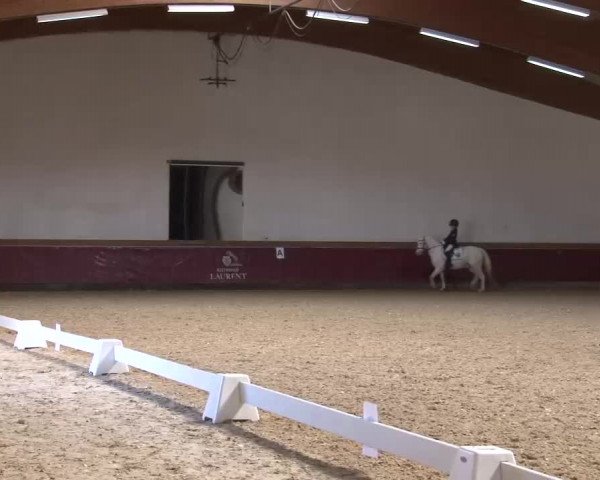 Reitturnier Eicherloh RH Laurent/Obb. 2023