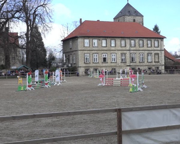Reitturnier Hildesheim-Steuerwald 2023