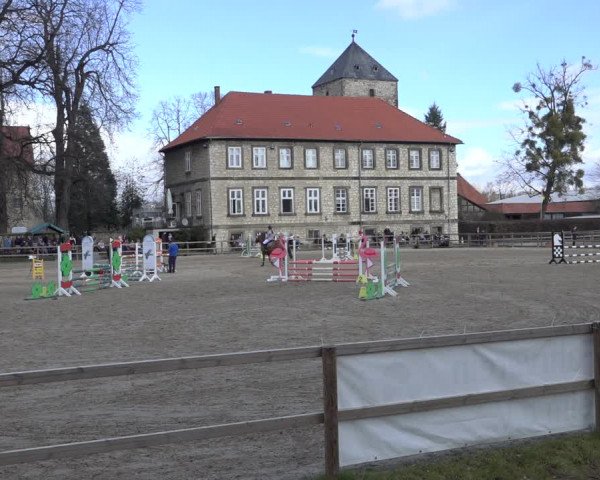 Reitturnier Hildesheim-Steuerwald 2023