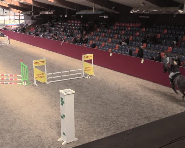 Reitturnier Krumke 2023