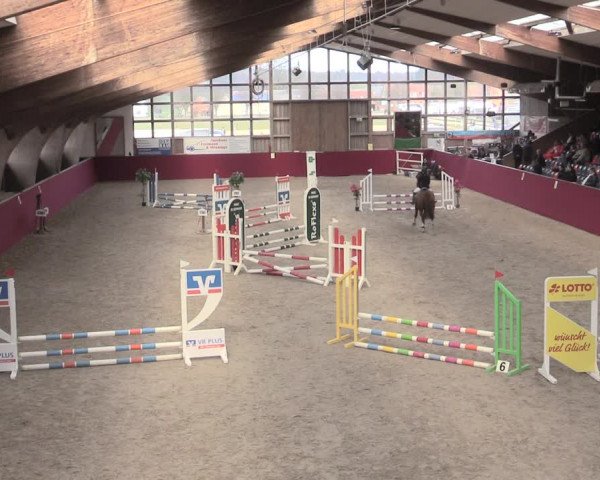 Reitturnier Krumke 2023