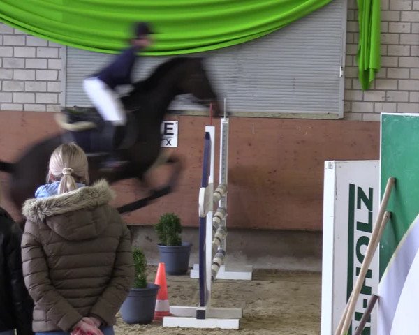 Reitturnier Hellefeld 2023
