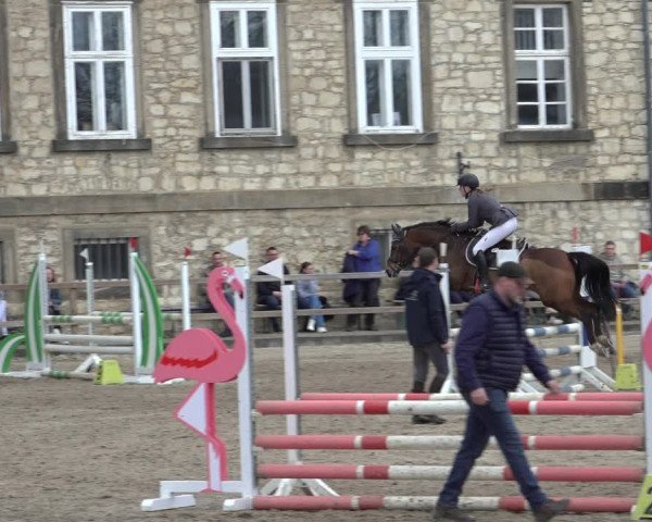Reitturnier Hildesheim-Steuerwald 2023
