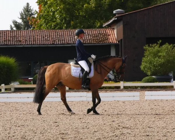 Dressurturnier Uetz 2021