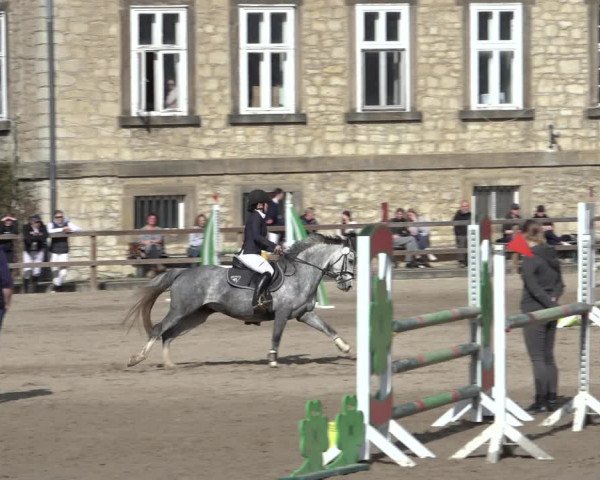 Reitturnier Hildesheim-Steuerwald 2023