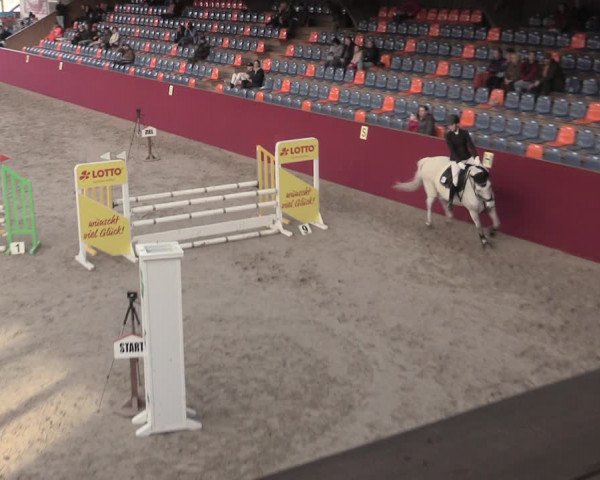 Reitturnier Krumke 2023