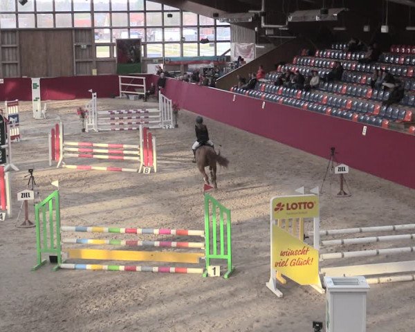 Reitturnier Krumke 2023