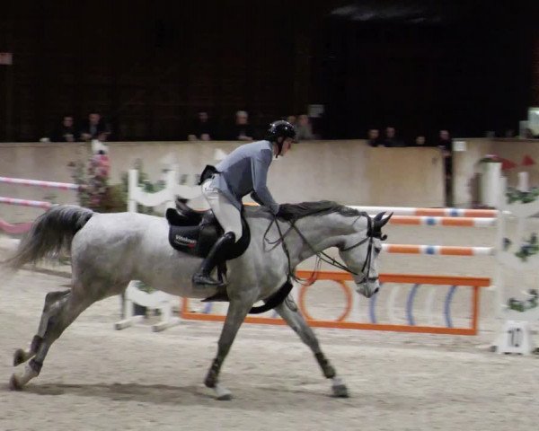 Reitturnier Mannheim-Neckarau 2023