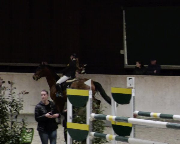 Reitturnier Mannheim-Neckarau 2023
