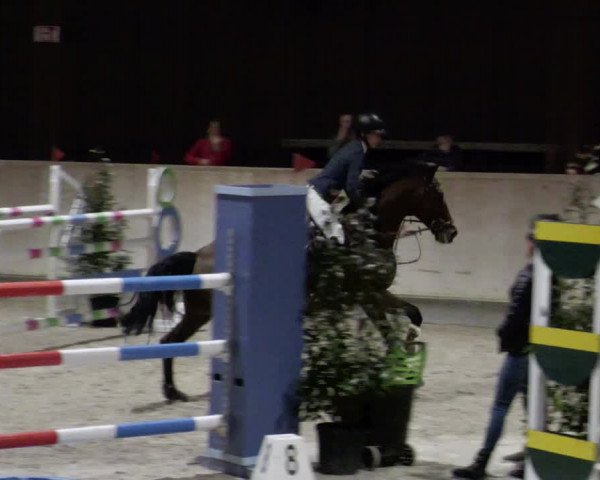 Reitturnier Mannheim-Neckarau 2023