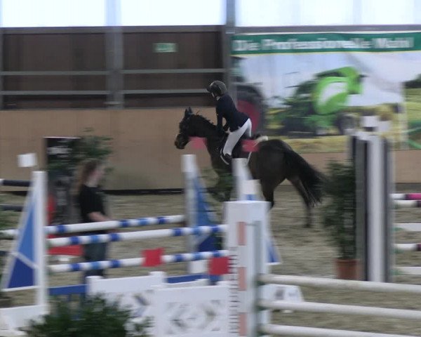 Reitturnier Borgholzhausen-Westbarthausen 2023