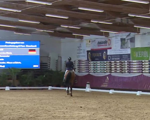 Reitturnier Eicherloh RH Laurent/Obb. 2023