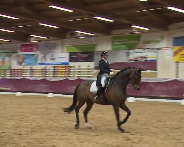 Reitturnier Eicherloh RH Laurent/Obb. 2023
