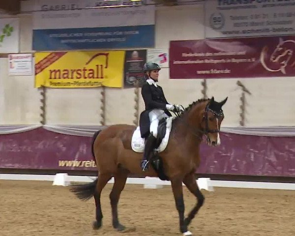 Reitturnier Eicherloh RH Laurent/Obb. 2023